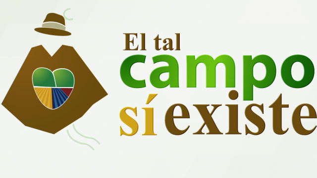  Llega a la televisión pública “El tal campo sí existe”. Por Juan Camilo Caicedo